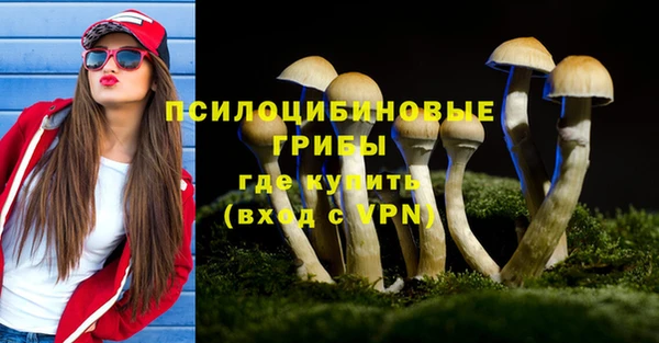 кокс Алзамай