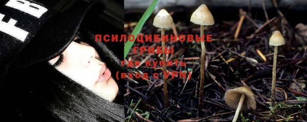 наркотики Алексин